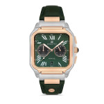 Momentus Erkek Kol Saati-TM348T-15YR